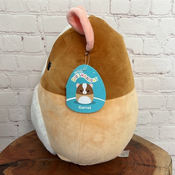 Garret the Guinea Pig Squishmallow - Picture 3 of 10